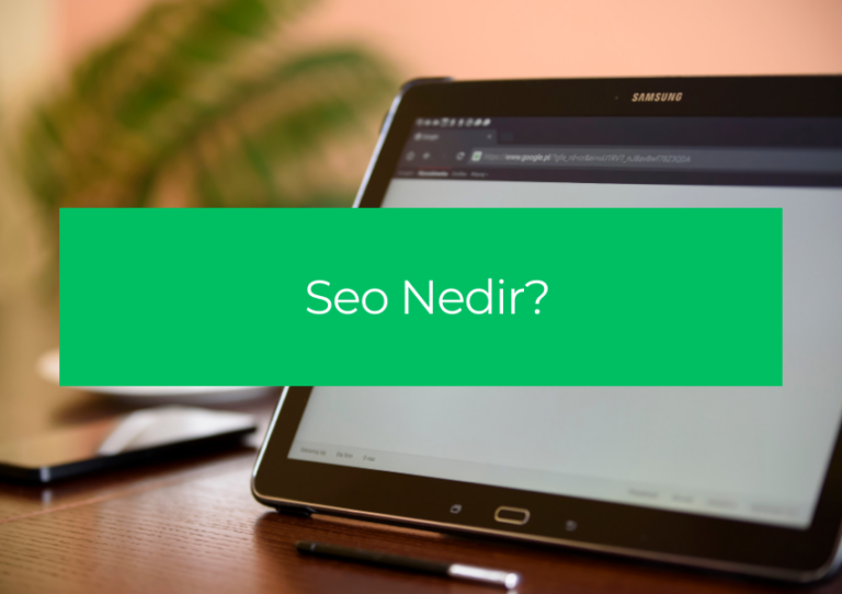 Seo Nedir? 2 Adımda Öğrenin
